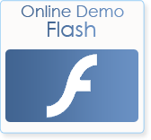 Online Demo - Flash