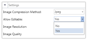 Editable Fields in PDF