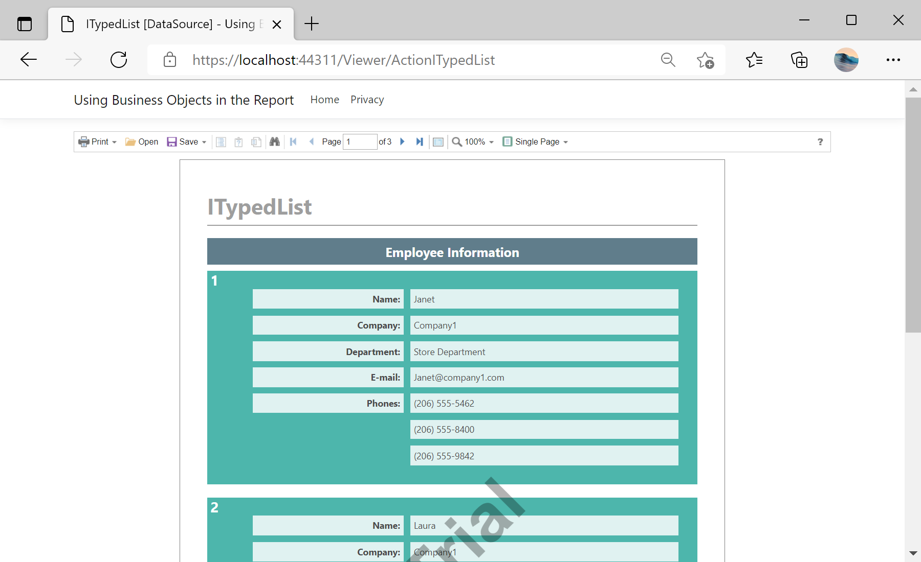 Using Business Objects in the Report