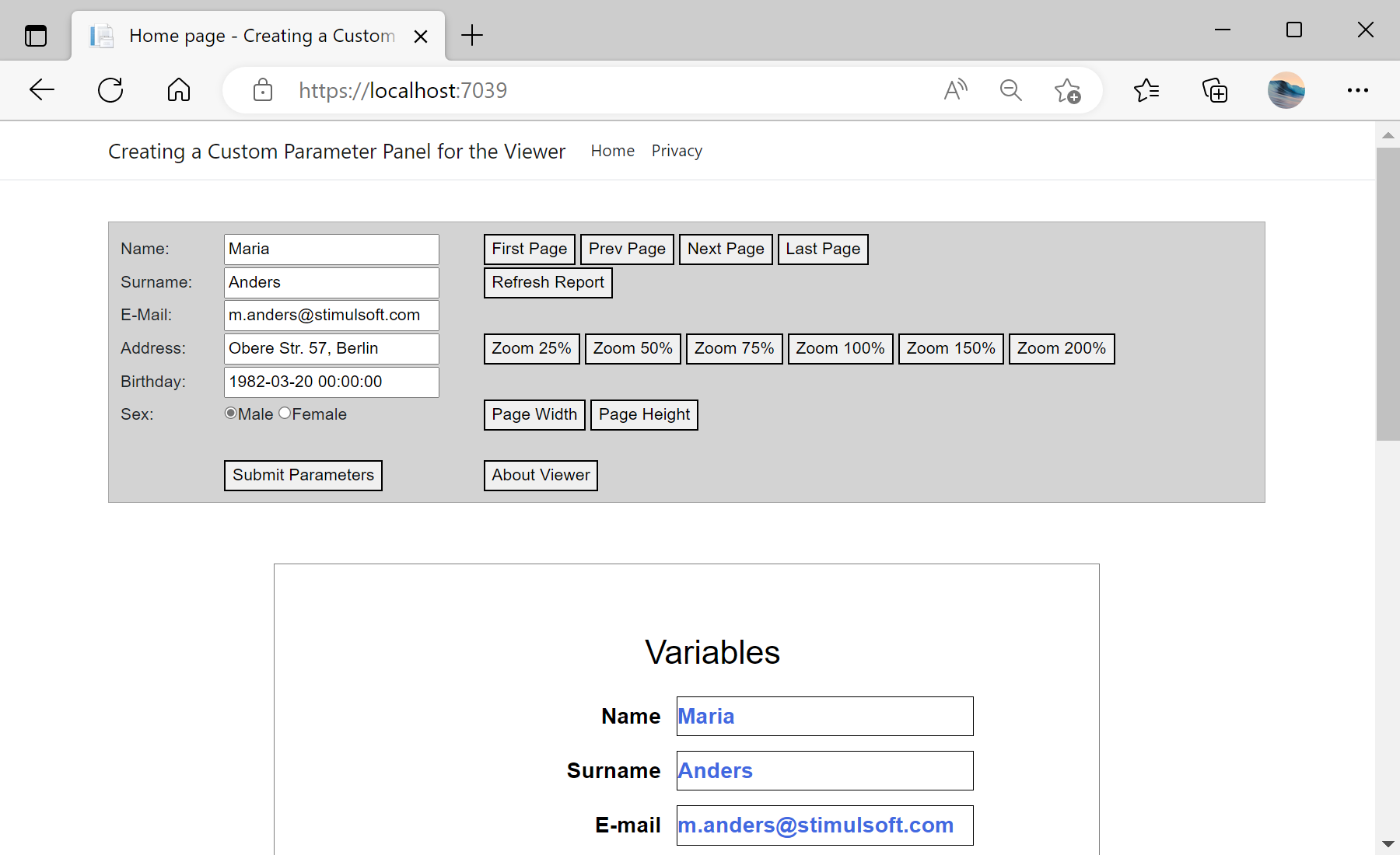 Creating a Custom Parameter Panel for the Viewer