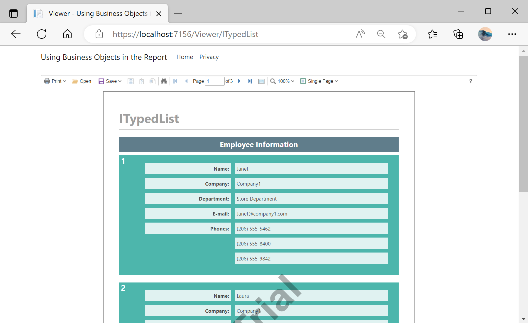 Using Business Objects in the Report