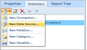 Add a Data Source to the report