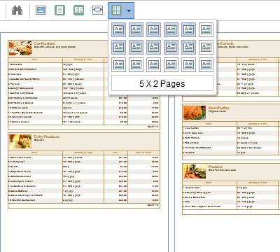 Viewing a Multi-Page Report